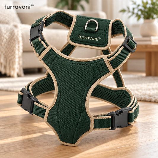 whiskvani™ Side-Entry Harness