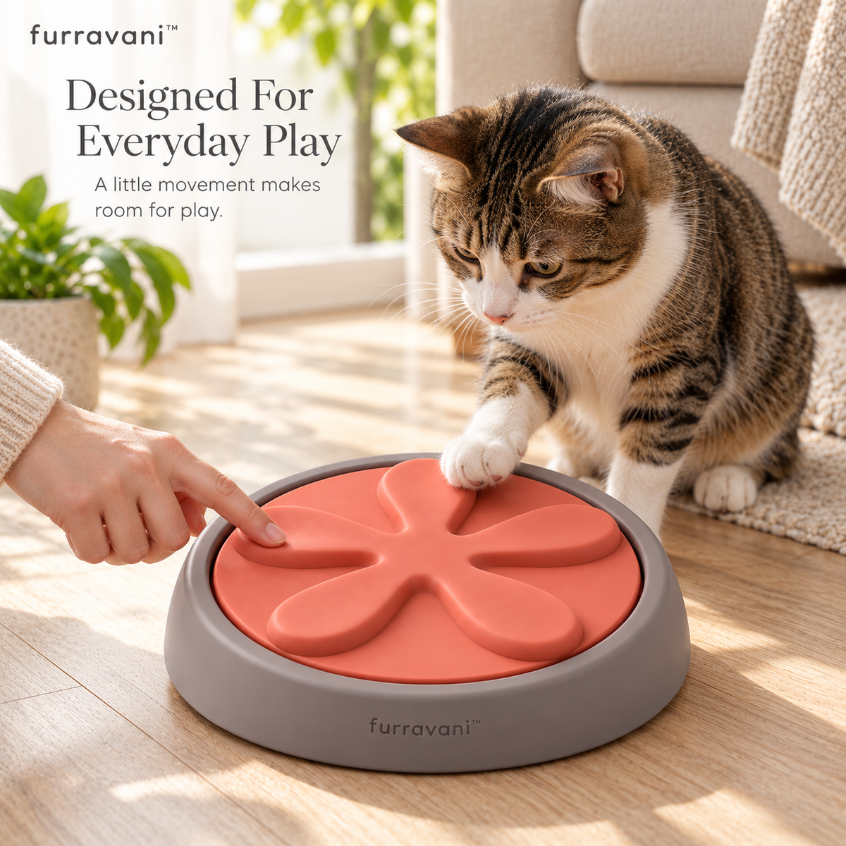 whiskvani™ Petal Play Wheel