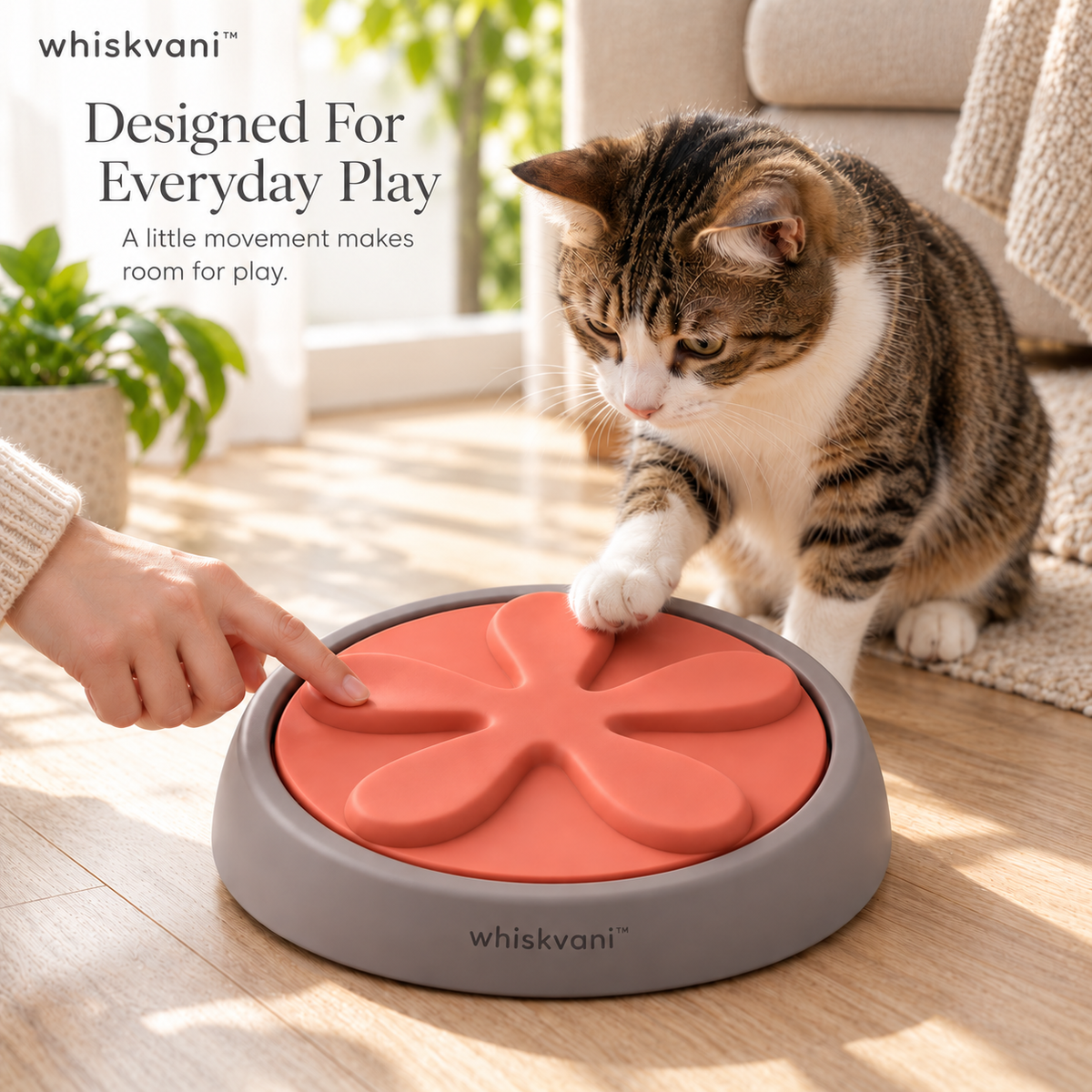 whiskvani™ Petal Play Wheel